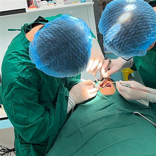 口腔種植手術(shù)進行中