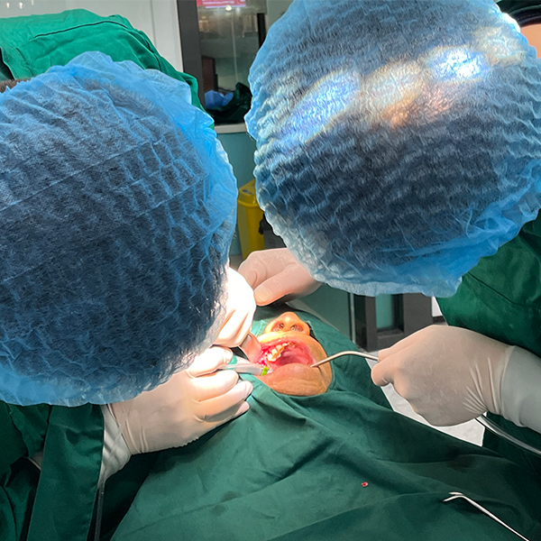 專業(yè)口腔種植